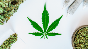 impact-of-rising-home-values-on-dispensaries