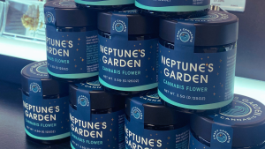 Neptune's Garden Available Now at Scarlet Reserve Room Best Dispensary in Monmouth County