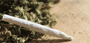 Legacy 2 Legal cannabis